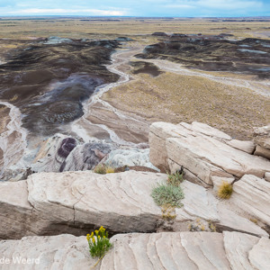 2014-07-08 - Opgedroogde riviertjes zijn duidelijk herkenbaar<br/>Petrified Forest National Park - Holbrook - Verenigde Staten<br/>Canon EOS 5D Mark III - 24 mm - f/11.0, 1/40 sec, ISO 400