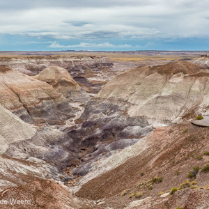 2014-07-08 - Bijzonder kleurenpalet<br/>Petrified Forest National Park - Holbrook - Verenigde Staten<br/>Canon EOS 5D Mark III - 31 mm - f/8.0, 1/60 sec, ISO 400