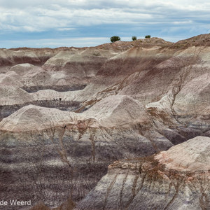 2014-07-08 - Laagjes<br/>Petrified Forest National Park - Holbrook - Verenigde Staten<br/>Canon EOS 5D Mark III - 70 mm - f/8.0, 0.02 sec, ISO 400