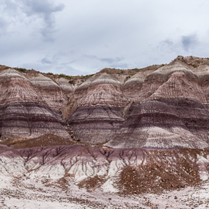 2014-07-08 - Ook paarsachtige kleuren kwamen voor<br/>Petrified Forest National Park - Holbrook - Verenigde Staten<br/>Canon EOS 5D Mark III - 26 mm - f/8.0, 1/60 sec, ISO 400