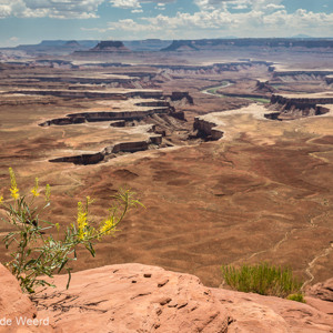 2014-07-12 - Ook hier wat gele kleur voor het rood<br/>Canyonlands National Park (Islan - Moab - Verenigde Staten<br/>Canon EOS 5D Mark III - 38 mm - f/11.0, 0.01 sec, ISO 200