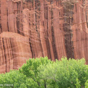 2014-07-15 - Contrast<br/>Capital Reef National Park - Torrey - Verenigde Staten<br/>Canon EOS 5D Mark III - 200 mm - f/8.0, 1/40 sec, ISO 200