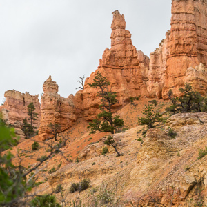 2014-07-15 - We hebben toch nog iets van Bryce gezien<br/>Bryce Canyon National Park - Verenigde Staten<br/>Canon EOS 5D Mark III - 70 mm - f/8.0, 0.05 sec, ISO 400