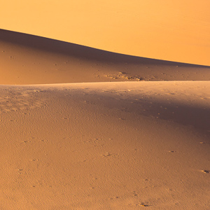 2014-07-16 - Pink sand dunes licht en schaduwspel<br/>Coral Pink Sand Dunes State Park - Kanab - Verenigde Staten<br/>Canon EOS 5D Mark III - 200 mm - f/11.0, 1/30 sec, ISO 400