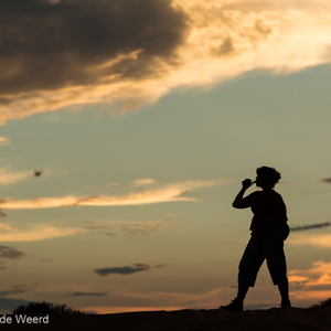 2014-07-16 - Dorstige omgeving, met al dat zand<br/>Coral Pink Sand Dunes State Park - Kanab - Verenigde Staten<br/>Canon EOS 5D Mark III - 200 mm - f/5.6, 1/500 sec, ISO 400