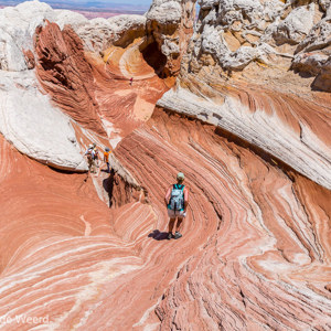 2014-07-17 - Bizar!<br/>White Pocket (Paria Canyon) - Kanab - Verenigde Staten<br/>Canon EOS 5D Mark III - 25 mm - f/11.0, 1/200 sec, ISO 100