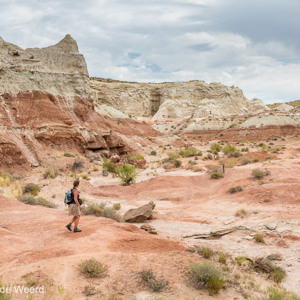 2014-07-18 - Op weg naar de hoodoos<br/>Toadstool hoodoos - Kanab - Verenigde Staten<br/>Canon EOS 5D Mark III - 38 mm - f/11.0, 1/80 sec, ISO 200