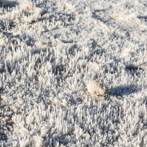 2014-07-23 - Zoutkristallen<br/>Death Valley National Park - Verenigde Staten<br/>Canon EOS 5D Mark III - 70 mm - f/11.0, 1/125 sec, ISO 200