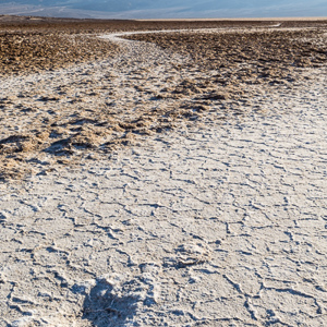 2014-07-23 - Zoutrandjes en gaten<br/>Death Valley National Park - Verenigde Staten<br/>Canon EOS 5D Mark III - 31 mm - f/11.0, 0.02 sec, ISO 200