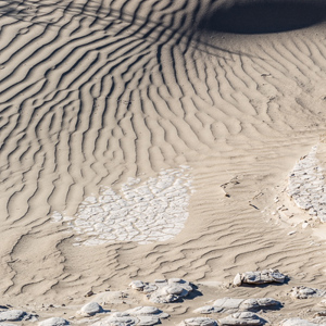 2014-07-24 - Mooie richels in het zand door de wind<br/>Death Valley National Park - Verenigde Staten<br/>Canon EOS 5D Mark III - 200 mm - f/11.0, 1/125 sec, ISO 200