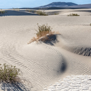 2014-07-24 - De wind vormt hier de duinen<br/>Death Valley National Park - Verenigde Staten<br/>Canon EOS 5D Mark III - 70 mm - f/11.0, 1/160 sec, ISO 200