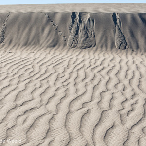 2014-07-24 - Sporen in het zand<br/>Death Valley National Park - Verenigde Staten<br/>Canon EOS 5D Mark III - 70 mm - f/8.0, 1/250 sec, ISO 200