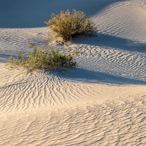 2014-07-25 - Zandstructuren<br/>Death Valley National Park - Verenigde Staten<br/>Canon EOS 5D Mark III - 70 mm - f/11.0, 1/80 sec, ISO 400