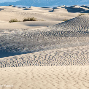 2014-07-25 - Prachtige enorme zandduinen<br/>Death Valley National Park - Verenigde Staten<br/>Canon EOS 5D Mark III - 115 mm - f/8.0, 1/320 sec, ISO 400