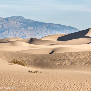 2014-07-25 - Prachtige enorme zandduinen<br/>Death Valley National Park - Verenigde Staten<br/>Canon EOS 5D Mark III - 140 mm - f/8.0, 1/400 sec, ISO 400