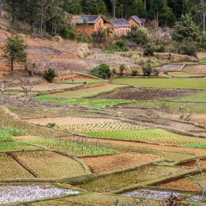 2013-07-24 - Terrassen voor de rijstteelt<br/>Onderweg - Madagaskar<br/>Canon EOS 7D - 85 mm - f/11.0, 0.02 sec, ISO 200