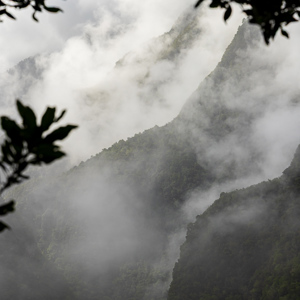 2022-11-07 - Mooie lage wolken tussen de bergen<br/>Laurierbos Los Tilos - bij Los S - La Palma - Canarische eilanden - Spanje<br/>Canon EOS R5 - 70 mm - f/8.0, 1/400 sec, ISO 400