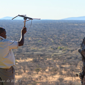 2007-08-22 - Radio-tracking van een luipaard<br/>Okonjima Lodge / Africat Foundat - Otjiwarongo - Namibie<br/>Canon EOS 30D - 100 mm - f/4.5, 1/800 sec, ISO 200