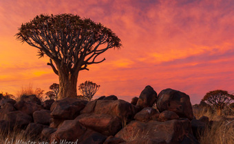 Namibië