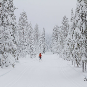 2011-02-08 - Carin op de langlauf skis<br/>Iso Syöte - Finland<br/>Canon EOS 7D - 47 mm - f/8.0, 1/80 sec, ISO 400