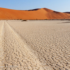 2007-08-10 - Hiddenvlei - autosporen in de hardgeworden modder<br/>Sossusvlei - Hiddenvlei - Sesriem - Namibie<br/>Canon EOS 30D - 22 mm - f/22.0, 1/125 sec, ISO 200