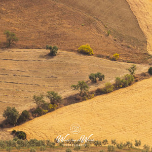 2023-05-02 - Mooie lijnen in het landschap<br/>Villanueva de la Concepción - Spanje<br/>Canon EOS R5 - 400 mm - f/7.1, 1/320 sec, ISO 200