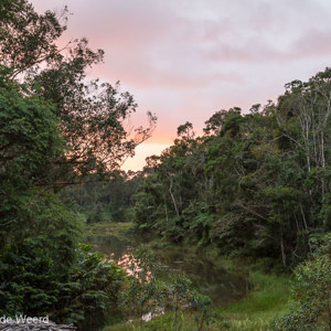 2013-07-25 - Uitzicht vanaf de hotel-veranda<br/>Hotel Feon ny Ala - Andasibe - Madagaskar<br/>Canon EOS 7D - 24 mm - f/5.6, 1/15 sec, ISO 800