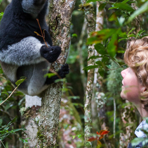2013-07-27 - Indri / Babakoto (Indri indri)<br/>Mitsinjo Reserve - Andasibe - Madagaskar<br/>Canon EOS 7D - 100 mm - f/4.5, 1/200 sec, ISO 3200