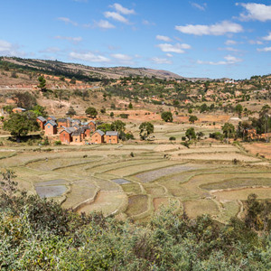 2013-07-28 - Terrassen-landbouw onderweg<br/>Onderweg - Andasibe - Antsirabe - Madagaskar<br/>Canon EOS 7D - 24 mm - f/10.0, 1/160 sec, ISO 200