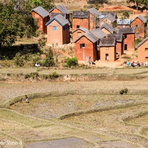 2013-07-28 - Terrassen-landbouw en huizen van steen en leem onderweg<br/>Onderweg - Andasibe - Antsirabe - Madagaskar<br/>Canon EOS 7D - 105 mm - f/10.0, 1/160 sec, ISO 200