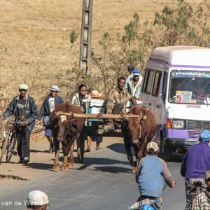 2013-07-29 - Verkeerschaos onderweg<br/>Antsirabe - Madagaskar<br/>Canon PowerShot SX1 IS - 100 mm - f/5.7, 1/640 sec, ISO 160