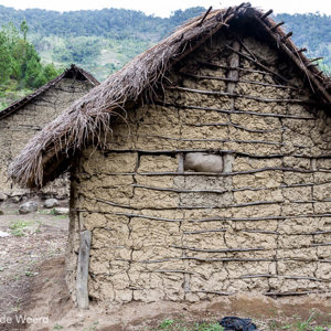 2013-07-31 - Lemen hut<br/>Ranomafana NP - Ambodiamontana - Madagaskar<br/>Canon EOS 7D - 24 mm - f/8.0, 1/30 sec, ISO 200