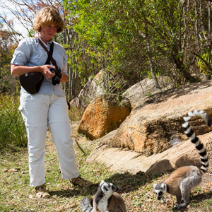 2013-08-01 - Ringstaartmaki - Ring-tailed lemur (Lemur catta)<br/>Anja Park - Ambalavao - Madagaskar<br/>Canon EOS 7D - 24 mm - f/5.6, 1/250 sec, ISO 200