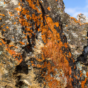 2013-08-02 - Kleurige rotsen en algen<br/>Isalo NP - Ranohira - Madagaskar<br/>Canon EOS 7D - 35 mm - f/8.0, 0.01 sec, ISO 200