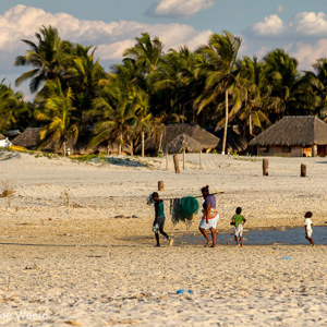 2013-08-05 - De visnetten worden weer meegenomen<br/>Strand - Morondava - Madagaskar<br/>Canon EOS 7D - 105 mm - f/4.0, 1/640 sec, ISO 200
