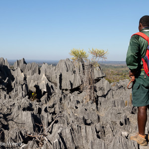 2013-08-08 - Onze gids in het park<br/>Tsingy de Bemaraha NP - Bekopaka - Madagaskar<br/>Canon EOS 7D - 24 mm - f/8.0, 1/200 sec, ISO 200