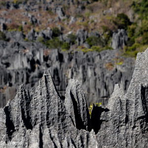2013-08-08 - De punten zijn echt vlijmscherp<br/>Tsingy de Bemaraha NP - Bekopaka - Madagaskar<br/>Canon EOS 7D - 70 mm - f/8.0, 1/320 sec, ISO 200