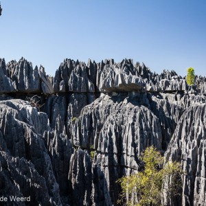 2013-08-08 - Bizarre kalksteen-rotsformaties<br/>Tsingy de Bemaraha NP - Bekopaka - Madagaskar<br/>Canon EOS 7D - 24 mm - f/8.0, 1/160 sec, ISO 400