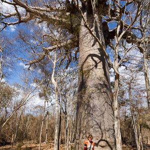 2013-08-12 - Carin bij een Baobab-boom<br/>Allee des Baobab - Morondava - Madagaskar<br/>Canon EOS 7D - 10 mm - f/8.0, 1/500 sec, ISO 200