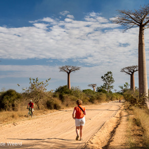 2013-08-12 - Carin bij de Baobab Allee<br/>Allee des Baobab - Morondava - Madagaskar<br/>Canon EOS 7D - 35 mm - f/11.0, 1/80 sec, ISO 200