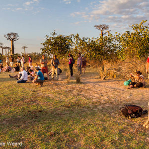 2013-08-12 - Wachten op de zonsondergang - we zijn niet alleen<br/>Allee des Baobab - Morondava - Madagaskar<br/>Canon EOS 7D - 18 mm - f/8.0, 1/80 sec, ISO 200