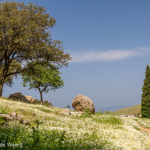 2012-04-29 - Landschap onderweg bij Molyvos<br/>Molyvos - Mythimna - Griekenland<br/>Canon EOS 7D - 40 mm - f/8.0, 1/320 sec, ISO 200