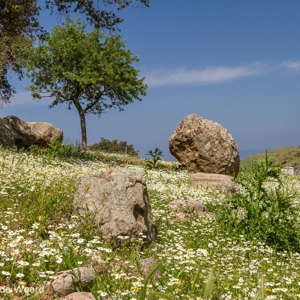 2012-04-29 - Landschap onderweg bij Molyvos<br/><br/>Canon EOS 7D - 32 mm - f/11.0, 1/160 sec, ISO 200