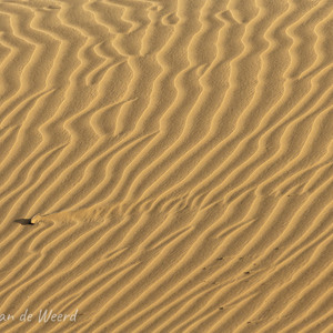 2021-11-02 - Verstoring van het golfpatroon<br/>Las Dunas de Maspalomas - Maspalomas - Gran Canaria - Spanje<br/>Canon EOS 5D Mark III - 400 mm - f/8.0, 1/250 sec, ISO 200