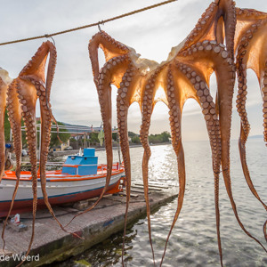 2012-04-30 - Inktvissen vangst<br/>Skala Sikamineas - Griekenland<br/>Canon EOS 7D - 10 mm - f/8.0, 1/320 sec, ISO 200