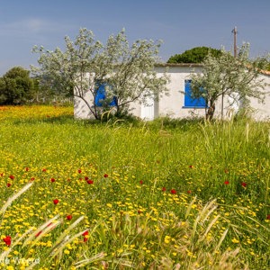 2012-05-02 - Griekse kleuren<br/>Skamnioudi - Griekenland<br/>Canon EOS 7D - 24 mm - f/8.0, 1/250 sec, ISO 200