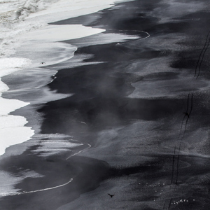 2012-07-23 - Zeeschuim en zwart lavastrand<br/>Dyrholaey - Vik - IJsland<br/>Canon EOS 7D - 100 mm - f/7.1, 1/500 sec, ISO 200