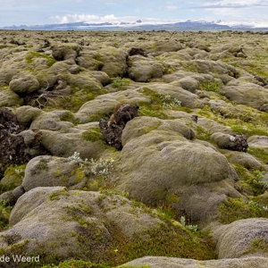 2012-07-24 - Rare mos op lava formaties<br/>Eldhraun - Tussen Vik en Skaftafell - IJsland<br/>Canon EOS 7D - 24 mm - f/8.0, 1/125 sec, ISO 200