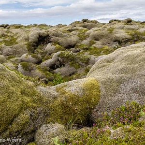 2012-07-24 - Rare mos op lava formaties<br/>Eldhraun - Tussen Vik en Skaftafell - IJsland<br/>Canon EOS 7D - 24 mm - f/11.0, 0.02 sec, ISO 200