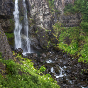 2012-07-25 - En nog een waterval tussen het groen<br/>Svartifoss waterval - Skaftafell - IJsland<br/>Canon EOS 7D - 24 mm - f/8.0, 1/13 sec, ISO 200